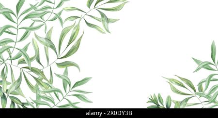 Piante verdi. Rami di Oleander. Modello con foglie di oliva. Cornice orizzontale con spazio di copia per il testo. Illustrazione acquerello. Foto Stock