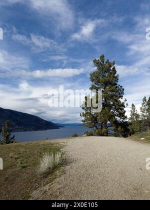 Strada sterrata che conduce verso il lago in condizioni di sole Foto Stock