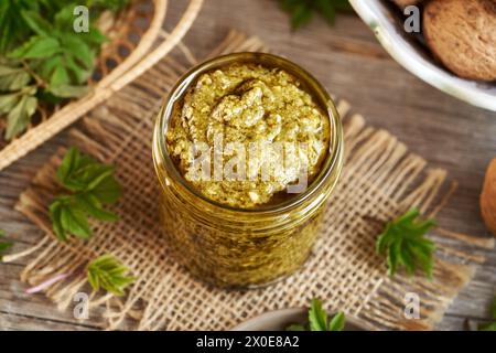 Pesto verde fatto in casa a base di giovani foglie d'alga - pianta commestibile selvatica raccolta all'inizio della primavera Foto Stock