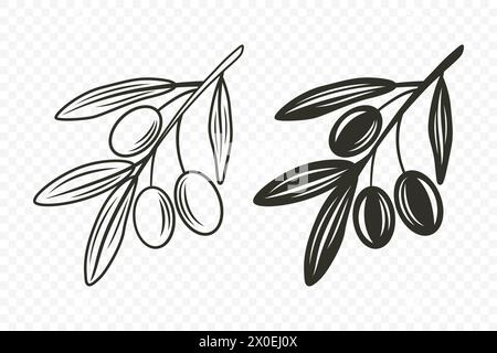 Diramazione piatta Vector Olive con set di olive. Ramo dell'olivo disegnato a mano con contorno Illustrazione Vettoriale