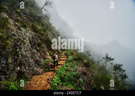 Sentiero PR1, escursione da Pico do Arierio a Pico Ruivo, sull'isola di Madeira, Portogallo, Europa Foto Stock