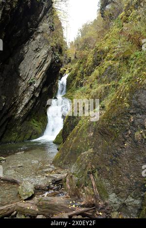 Uno stretto passaggio di un letto di un fiume di montagna adagiato tra le rocce e che scorre giù come una rapida cascata in una foresta autunnale. Cascata Estyuba, alta Foto Stock