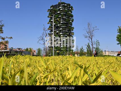 Milano. 11 aprile 2024. Questa foto scattata l'11 aprile 2024 mostra il paesaggio primaverile vicino al Bosco verticale di Milano. Crediti: Alberto Lingria/Xinhua/Alamy Live News Foto Stock