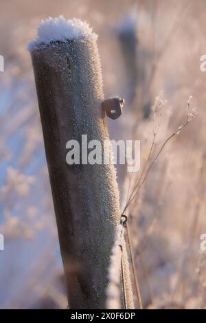 Un palo di legno in una recinzione ricoperta di neve e ghiaccio con erba sfocata nel campo di concentramento ed è illuminato da una luce dorata del sole che tramonta. Foto Stock