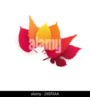 Foglie d'albero cadute rosse, marroni e d'autunno d'oro su sfondo bianco - modello di disegno in formato vettoriale modificabile Illustrazione Vettoriale