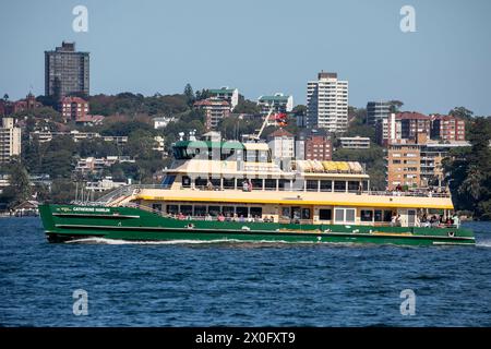 Traghetto di Sydney, il traghetto MV Catherine Hamlin viaggia sul porto di Sydney con quartieri orientali che ospitano dietro Sydney, Australia Foto Stock