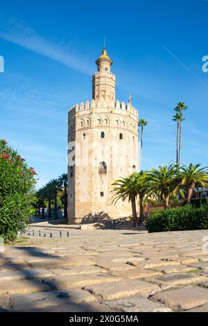 La Torre d'Oro, Siviglia, Spagna. Foto Stock