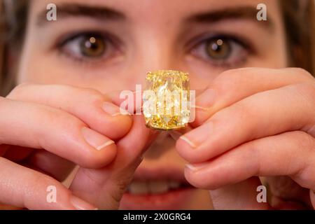 Londra, Regno Unito. 12 aprile 2024. Un membro dello staff presenta un «anello di diamanti gialli fantasiosi brillanti» del peso di 27,27 carati (circa USD 1.100.000-2.000.000) in anteprima di Jewellery Highlights, in visita alle gallerie Phillips’ Berkeley Square, in vista dell’asta Phillips’ Geneva Jewels del 13 maggio, dove oltre 100 lotti di designer come Cartier, JAR, Sterlé, Suzanne Belperron e Van Cleef & Arpels saranno venduti. Crediti: Stephen Chung / Alamy Live News Foto Stock