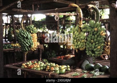 "Un mercato di frutta coperto nel villaggio di MTO wa MBU ("fiume zanzare") sul lago Manyara in Tanzania. [traduzione automatizzata]' Foto Stock