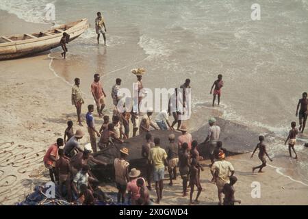 Uomini che tira reti da pesca a riva in Accra. [traduzione automatica] Foto Stock