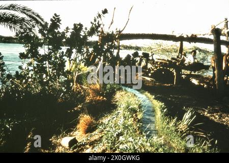 Un sakije (una ruota a tazza) sulle rive del Nilo in Egitto. [traduzione automatizzata] Foto Stock