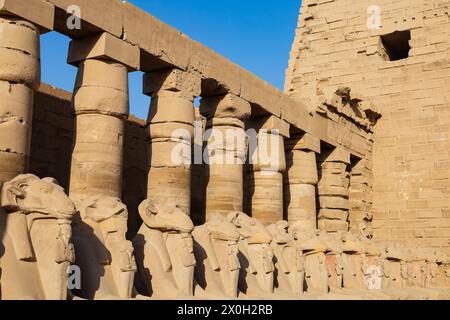 Avenue of Sphinxes (o Rams Road, Karnak Temple of Pharaoh Senusret 1, Luxor, Egitto Foto Stock