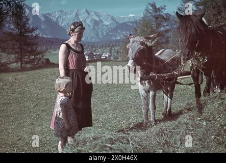 Madre e figlia sono in piedi accanto a una squadra di asino e cavallo. Sullo sfondo ci sono montagne da vedere. [traduzione automatica] Foto Stock