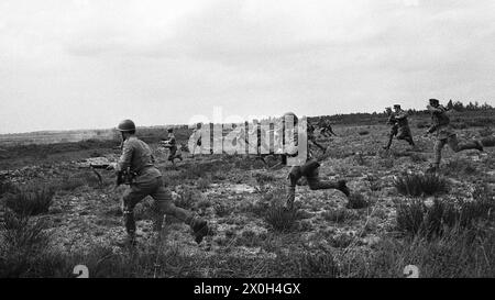 Esercitazione delle truppe: I soldati della Bundeswehr corrono attraverso un prato durante una manovra. [traduzione automatizzata] Foto Stock