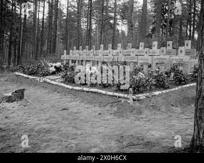 Il cimitero di 24 soldati caduti della Wehrmacht sul fronte orientale. La foto fu scattata da un membro del Radfahrgrenadierregiment 2 / Radfahrsicherungsregiment 2, nella sezione centrale del fronte orientale. [traduzione automatizzata] Foto Stock