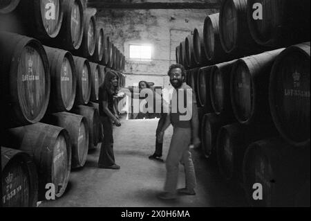 Il buon vino Porto matura in botti di rovere. I tre giovani non vedono l'ora della degustazione di vini [traduzione automatica] Foto Stock
