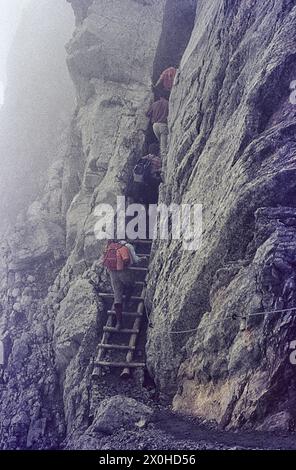 Gli escursionisti salgono una scala su un tratto ripido del sentiero nel Karwendel in nebbia leggera [traduzione automatica] Foto Stock