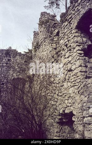 Resti delle mura del castello in primavera. [traduzione automatizzata] Foto Stock