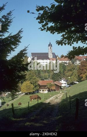 Vista da un pascolo di mucche dell'ex chiesa collegiata del monastero agostiniano dissolto dell'abbazia di Weyarn [traduzione automatica] Foto Stock