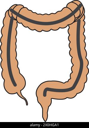 disegno del simbolo dell'illustrazione vettoriale dell'intestino Illustrazione Vettoriale