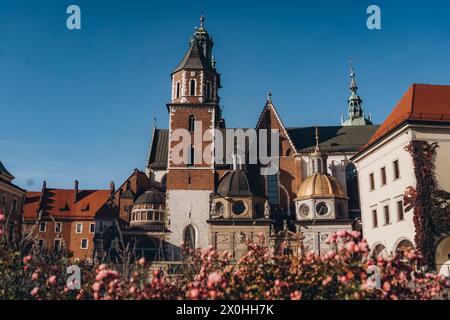 Vista autunnale del giardino con rose e del complesso del Castello reale di Wawel a Cracovia, Polonia Foto Stock