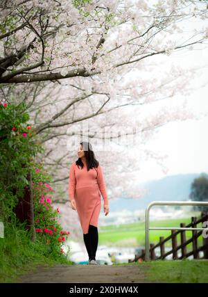 Una donna incinta felice che passeggia sotto la fioritura dei ciliegi o gli alberi sakura in primavera. Foto Stock