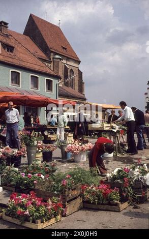 Giornata di mercato con bancarelle. Fiori in vendita sul davanti. Molte persone sono interessate alle merci esposte. [traduzione automatizzata] Foto Stock
