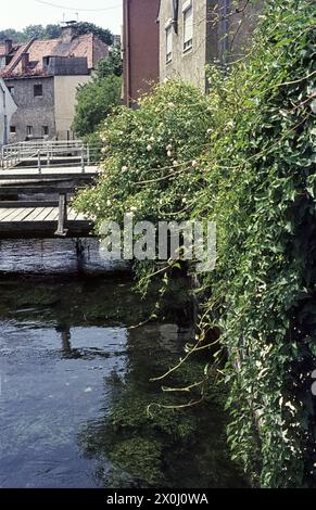 Il Moosach, che scorre attraverso Freising, diviso in diverse diramazioni. Sul lato destro, edera e rose fiorite, nel mezzo piccoli ponti conducono dalla strada alle case. [traduzione automatizzata] Foto Stock