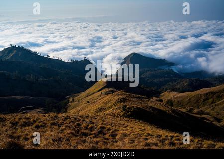 Vista dalla ruota del cratere di Lombok avvolta dalla nebbia nel Parco Nazionale del Monte Rinjani, Lombok, Indonesia Foto Stock