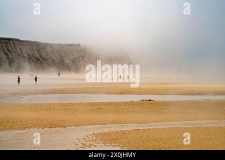 Nebbia sulla spiaggia di Cran d'Escalles sulla Cote d'Opale o sulla Costa d'Opale a Escalles, Francia Foto Stock