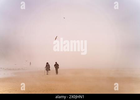 Nebbia sulla spiaggia di Cran d'Escalles sulla Cote d'Opale o sulla Costa d'Opale a Escalles, Francia Foto Stock