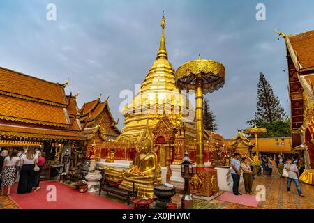 Golden Chedi del complesso del tempio buddista Wat Phra That Doi Suthep, punto di riferimento di Chiang mai, Thailandia, Asia Foto Stock