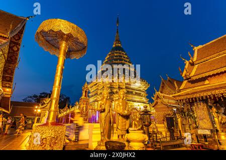 Golden Chedi del complesso del tempio buddista Wat Phra That Doi Suthep, punto di riferimento di Chiang mai c, Thailandia, Asia Foto Stock