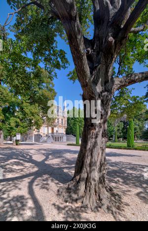 Chäteau Val Seille, parco, visita della città, Courthezon, Vaucluse, Provence-Alpes-Cote d'Azur, Francia, Europa, Foto Stock