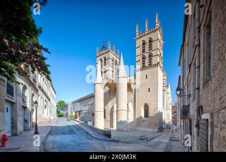 Cattedrale Saint-Pierre, cattedrale, centro storico, facciate, tour della città, vista sulla casa, città vecchia, Montpellier, Herault, Francia, Foto Stock