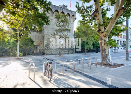 La Tour des Pins, Torre di Babote, centro storico, facciate, passeggiata in città, vista sulla casa, città vecchia, Montpellier, Herault, Francia, Foto Stock