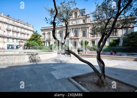 Prefettura - Herault, centro storico, facciate, tour della città, vista sulla casa, città vecchia, Montpellier, Herault, Francia, Foto Stock