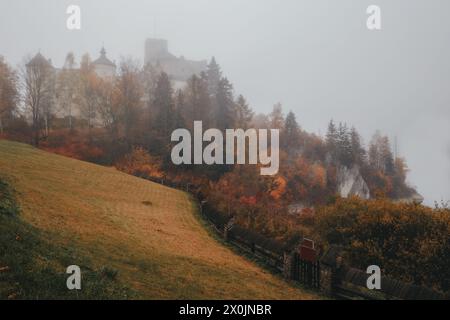 Castello di Niedzica - Polonia Foto Stock