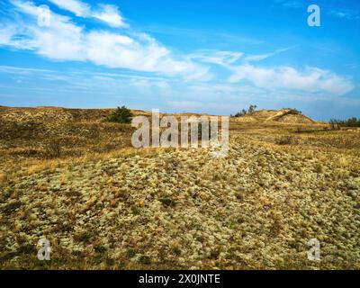 Passeggiata lungo la Grande Duna a Nida sulla Spit Curoniana, Lituania Foto Stock