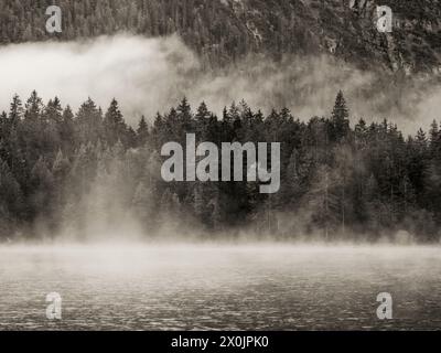 Atmosfera mattutina autunnale al lago Plansee del Tirolo vicino a Reutte Foto Stock