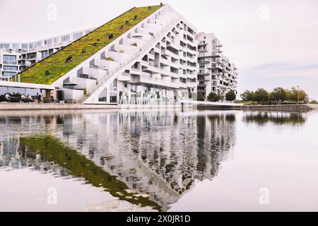 Passeggia attraverso Copenhagen, edificio 8 Tallet Foto Stock