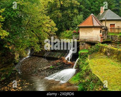 Autunno sul Malerweg a Liebethaler Grund al Daubenmühle a Lohme Foto Stock