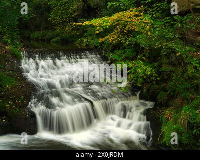 Autunno sul sentiero Malerweg a Liebethaler Grund vicino a Lohme Foto Stock
