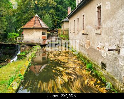 Autunno sul Malerweg a Liebethaler Grund al Daubenmühle a Lohme Foto Stock