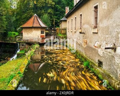 Autunno sul Malerweg a Liebethaler Grund al Daubenmühle a Lohme Foto Stock