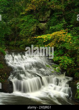 Autunno sul sentiero Malerweg a Liebethaler Grund vicino a Lohme Foto Stock