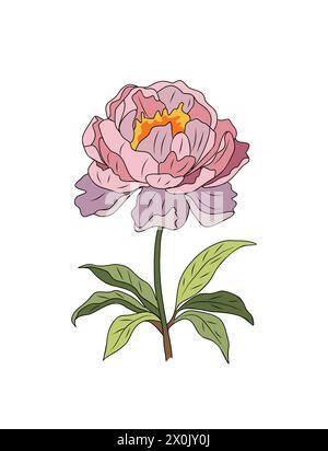 Peony, novembre mese di nascita, arte vettoriale dei fiori. Illustrazione Vettoriale