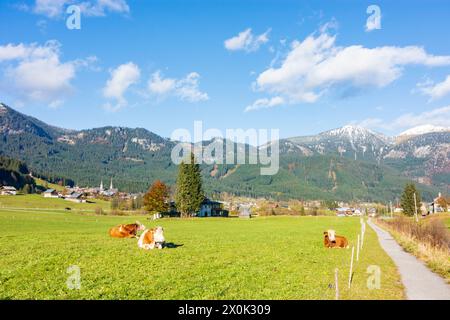 Gosau, villaggio di Gosau, chiesa parrocchiale cattolica ed evangelica, fattorie, colori autunnali, mucche a Salzkammergut, Oberösterreich, alta Austria, Austria Foto Stock