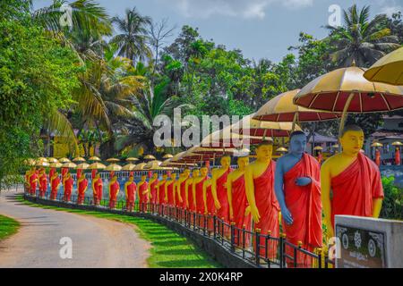 Dambulla, Sri Lanka 10 febbraio 2023. Fila di statue monache buddiste adiacenti al Tempio d'Oro a Dambulla, nel centro dello Sri Lanka. Foto Stock