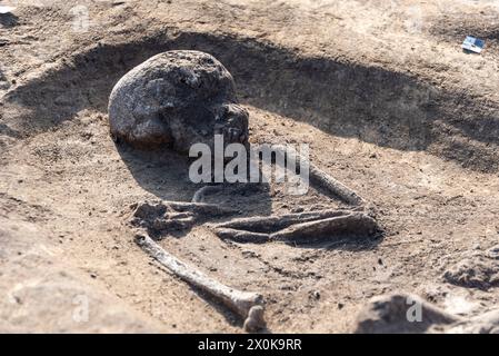 Scheletro umano di 5000 anni, sito di scavo archeologico, Magdeburgo, Sassonia-Anhalt, Germania Foto Stock